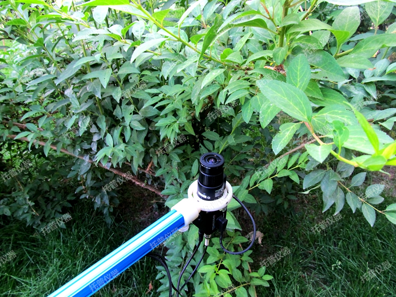 植物冠層圖像分析儀 TOP-1300